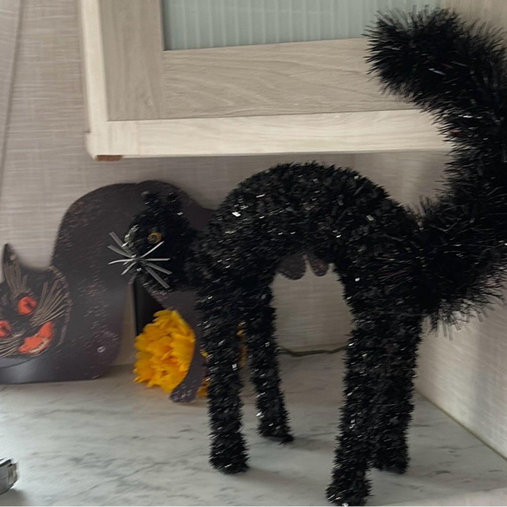 Black cat - Picture 3 of 6